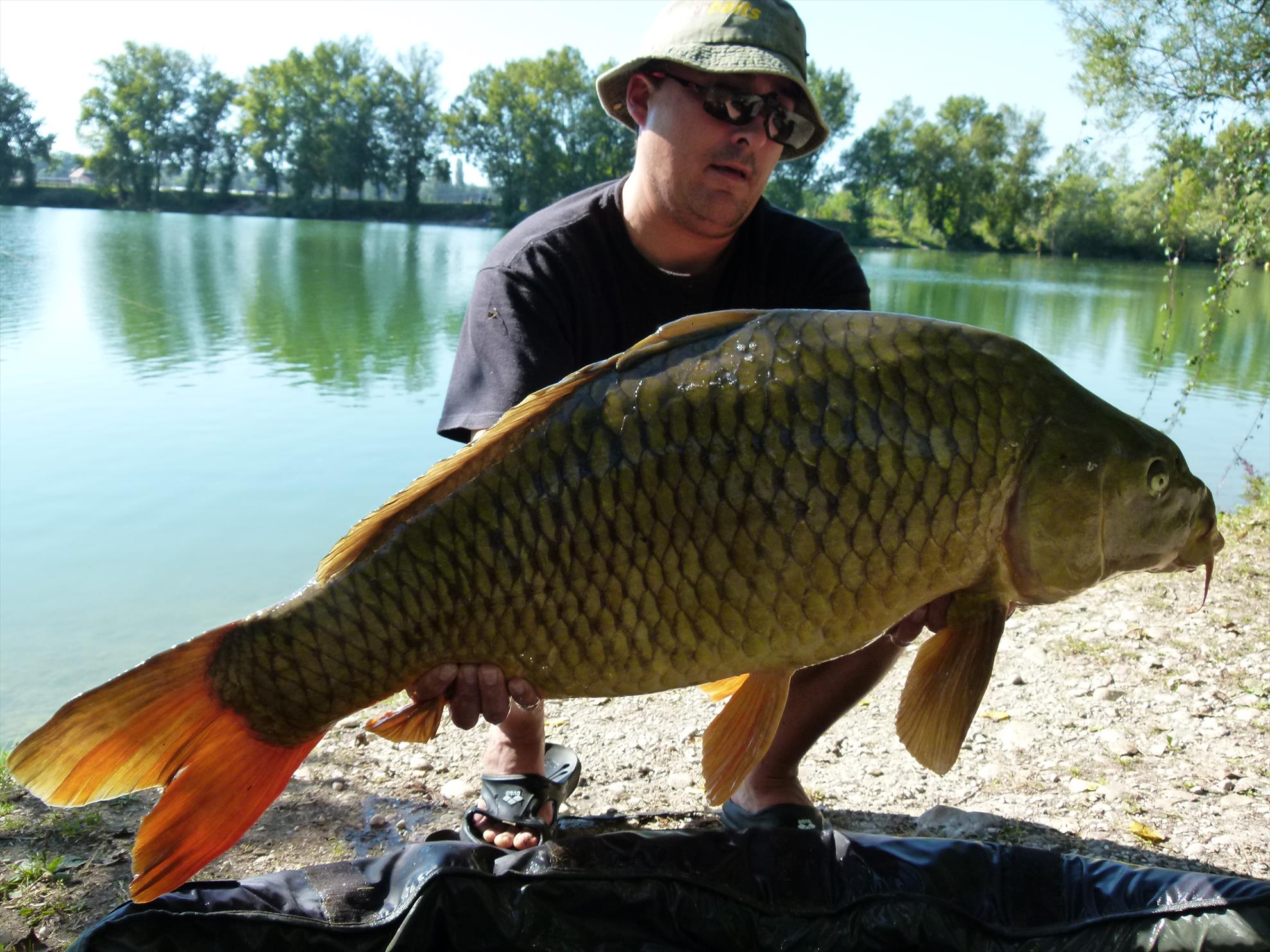 regiune Rhône-Alpes 24 - 24 sep. - p1030946.JPG